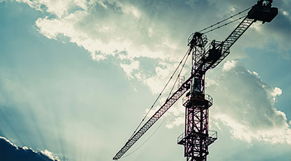 Cranes. A guide to understanding different types of cranes