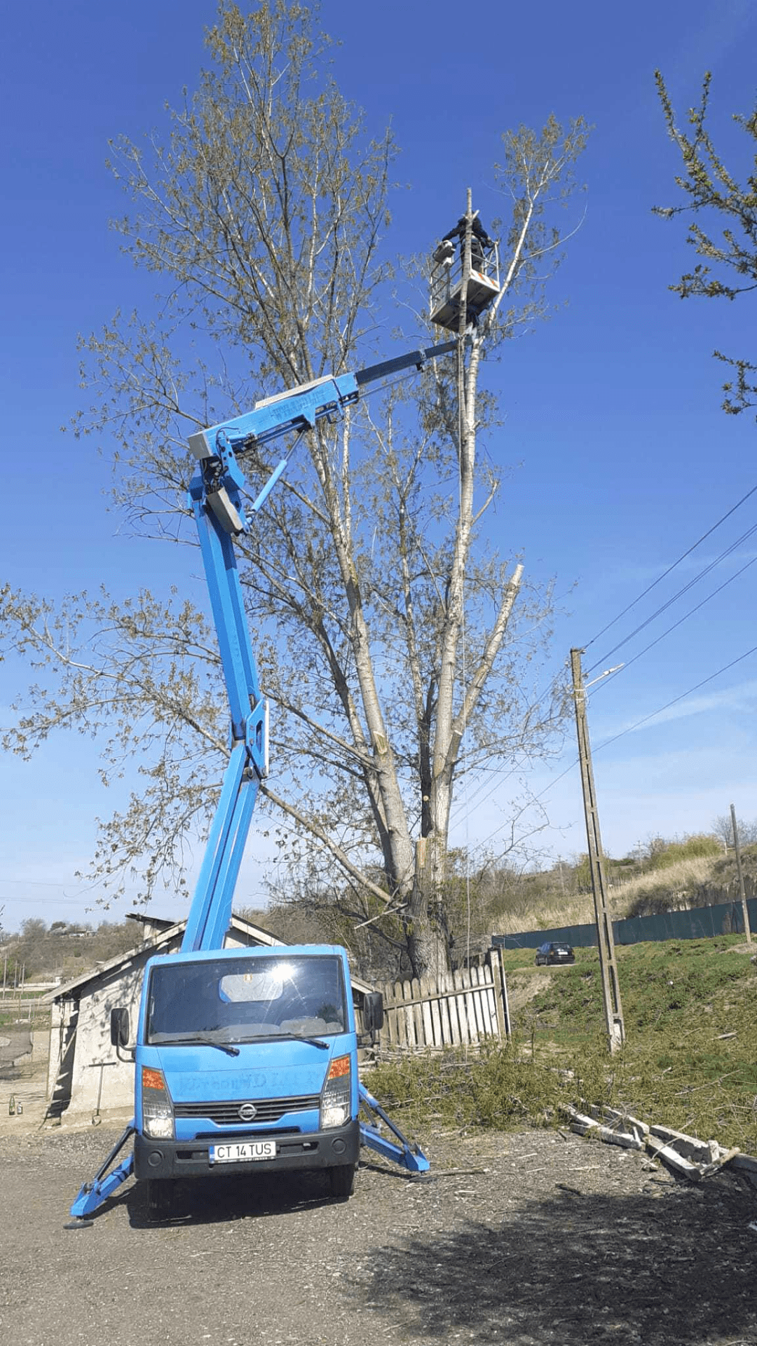 Proiect toaletare copaci cu ajutorul platformei aeriene de lucru